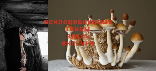 соль курить ск Бронницы
