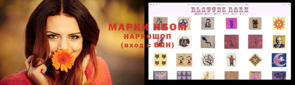соль курить ск Бородино
