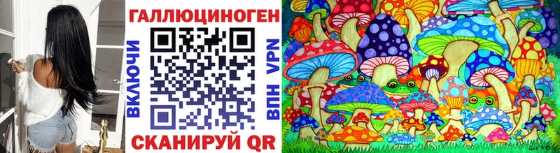 omg вход  площадка клад  Сосногорск  Псилоцибиновые грибы Psilocybe  что такое  